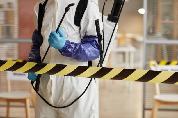 Professional Blood Cleanup technician working in Somerville, TX